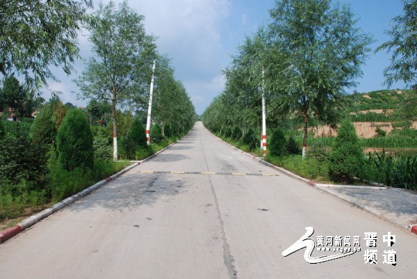 王家山进村水泥路