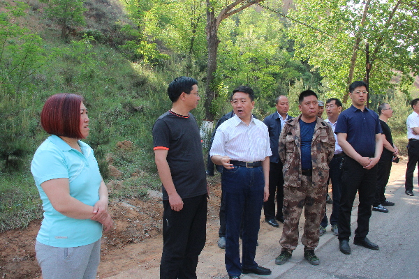 "拆违治乱提质"晋中寿阳县委书记郝鹏鸿在路南部分乡镇督导工作