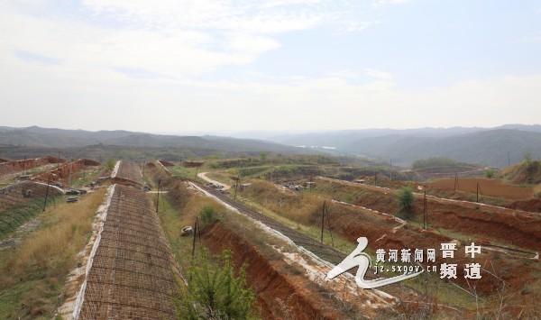 河峪乡人口_角峪镇苏庄村人口