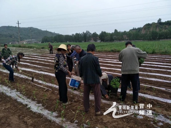 郭郊村人口_郊溪村(3)