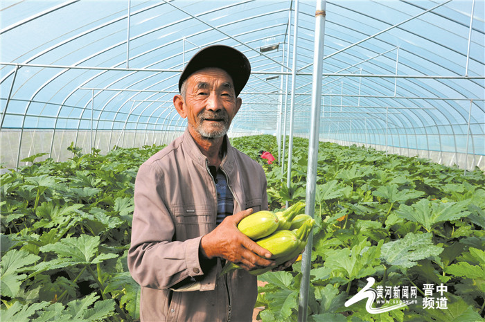 【小康圆梦】让土地焕发魅力为乡村振兴赋能——榆次区长凝镇南合流村百亩拱棚园区建设侧记