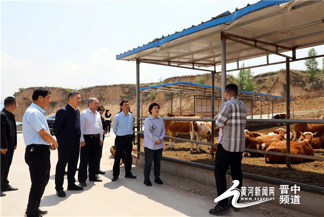 晉中市委農辦主任,市農業農村局局長武建林,榆社縣委副書記,縣長魏棟