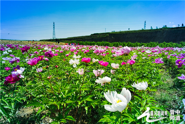 介休坂地村图片